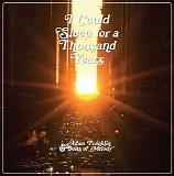 Adam Franklin & Bolts Of Melody - I Could Sleep For A Thousand Years
