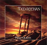 Feehan, Tim - Pray For Rain