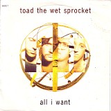 Toad The Wet Sprocket - All I Want