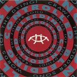 Controlled Bleeding - The Fodder Song