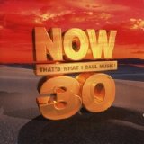 Various artists - Now That's What I Call Music 30