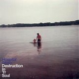 Hospital Ships - Destruction In Yr Soul
