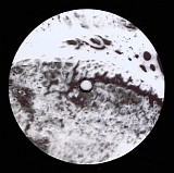 Abdulla Rashim - Alem Maya [2013] v0