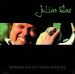 Julian Sas - Wandering Between Worlds