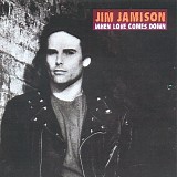 Jamison, Jimi - When Love Comes Down