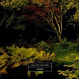 14 Iced Bears - Wonder