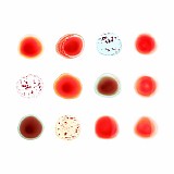 Various artists - Scratch My Back / And I'll Scratch Yours