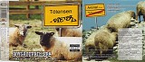 Boygroupkillers - TÃ¶tensen-Dieter