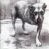 Alice in Chains - Alice in Chains