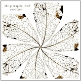 The Pineapple Thief - 3000 Days