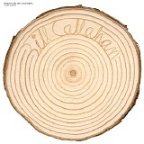 Bill Callahan - Rough Travel For A Rare Thing