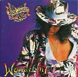 Rick James - Wonderful