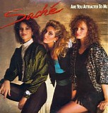 SachÃ© - Are You Attracted to Me