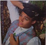 Narada Michael Walden - The Nature of Thing