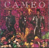 Cameo - Emotional Violence