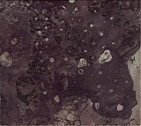Pinkish Black - Razed To The Ground
