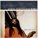 Alvin Youngblood Hart - Down in the Alley