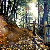 Autumns Eyes - In a Sense