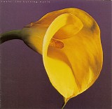 Swans - The Burning World