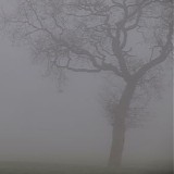Jesu - Silver EP