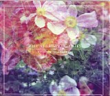The Stargazer Lilies - We Are The Dreamers