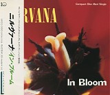 Nirvana - In Bloom