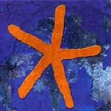 FISH - 2007: 13th Star