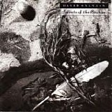 David SYLVIAN - 1987: Secrets Of The Behive