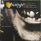 Sponge - Wax Ecstatic