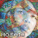 Terri Lyne Carrington - The Mosaic Project
