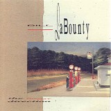LaBounty, Bill - The Right Direction