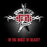 Michael Schenker Group - In The Midst Of Beauty