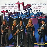 The Tremeloes - My Little Lady