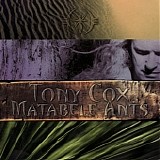 Tony Cox - Matabele Ants