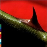 Nusrat Fateh Ali Khan & Michael Brook - Night Song