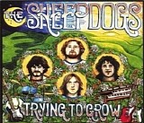 The Sheepdogs - Trying To Grow