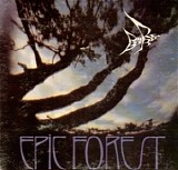 Rare Bird - Epic Forest