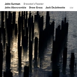 John Surman - Brewster's Rooster