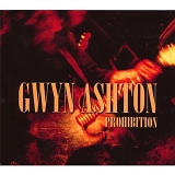Gwyn Ashton - Prohibition