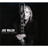Joe Walsh - Analog Man