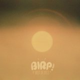 Various artists - BIRP! Best Of 2013