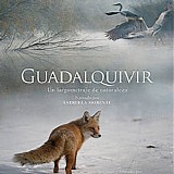 Pablo MartÃ­n Caminero - Guadalquivir