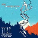 Toad the Wet Sprocket - New constellation