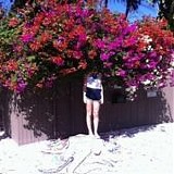 Elf Power - Sunlight on the moon