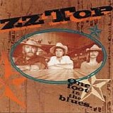 ZZ Top - One foot in the blues