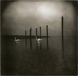 Om - Conference Of The Birds