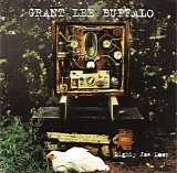 Grant Lee Buffalo - Mighty Joe Moon