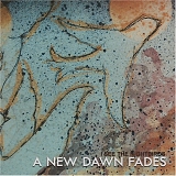 A New Dawn Fades - I See the Night Birds