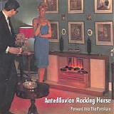 Antediluvian Rocking Horse - Forward Into The Furniture
