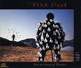 Pink Floyd - Delicate Sound Of Thunder